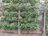 Tail of he Dragon July 2015 574 : Tail of he Dragon July 2015